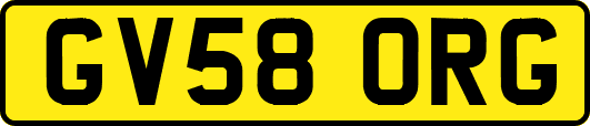 GV58ORG