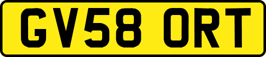GV58ORT