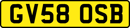 GV58OSB