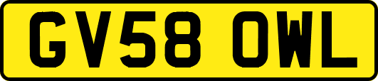 GV58OWL