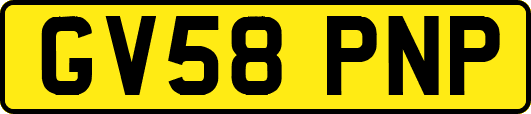 GV58PNP