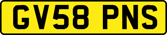 GV58PNS