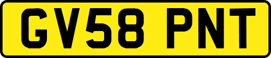 GV58PNT