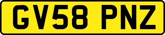 GV58PNZ