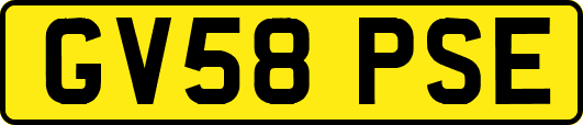GV58PSE