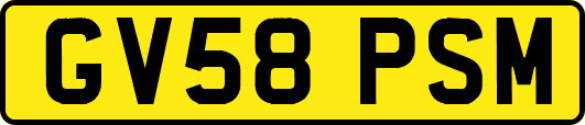 GV58PSM