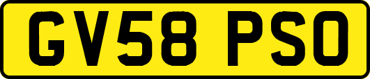 GV58PSO