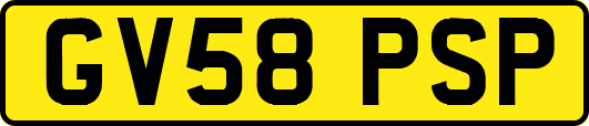 GV58PSP