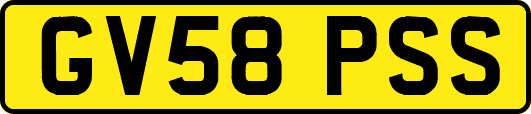 GV58PSS