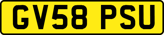 GV58PSU