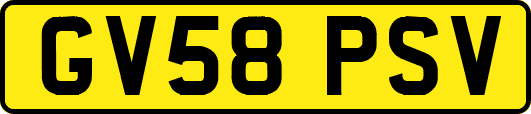 GV58PSV