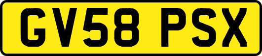 GV58PSX