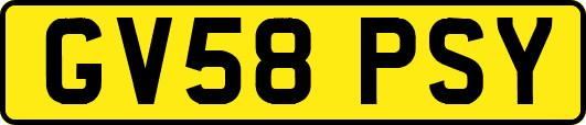 GV58PSY
