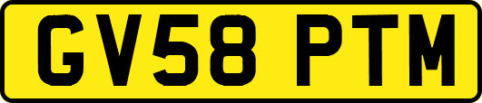 GV58PTM