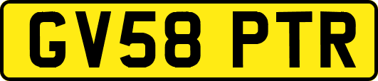 GV58PTR