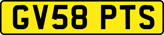 GV58PTS