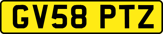 GV58PTZ