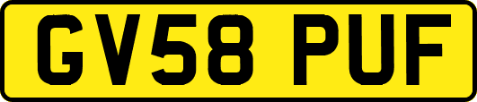 GV58PUF