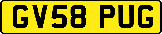 GV58PUG