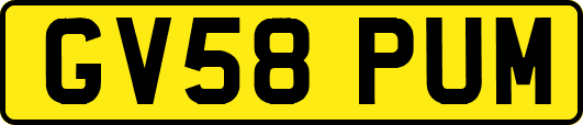 GV58PUM