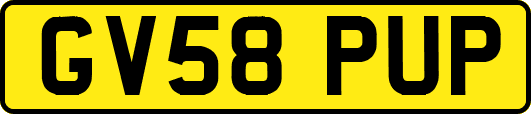 GV58PUP