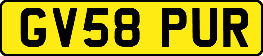 GV58PUR