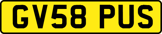 GV58PUS