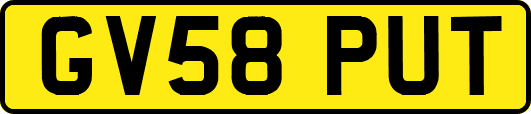 GV58PUT