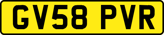 GV58PVR