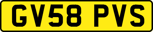 GV58PVS