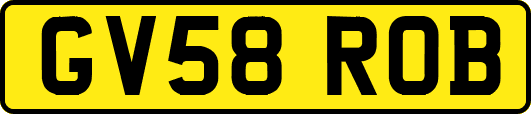 GV58ROB