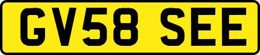 GV58SEE