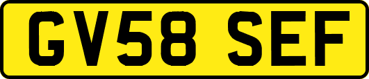 GV58SEF