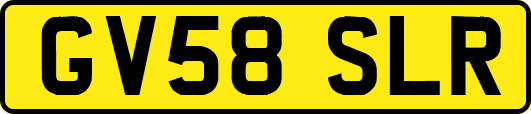 GV58SLR