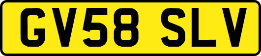 GV58SLV