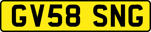 GV58SNG