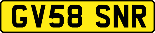 GV58SNR