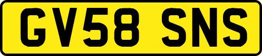 GV58SNS