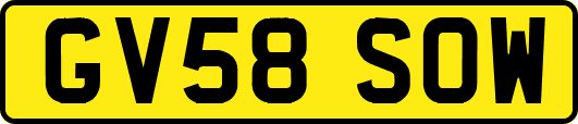 GV58SOW