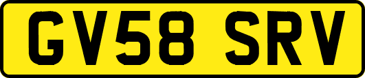 GV58SRV