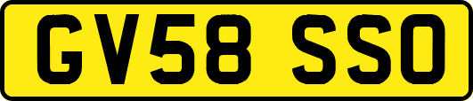 GV58SSO