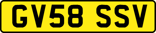 GV58SSV