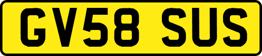 GV58SUS