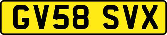 GV58SVX