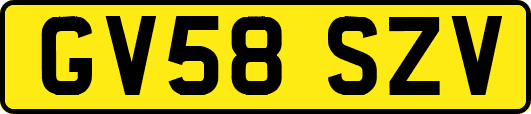 GV58SZV