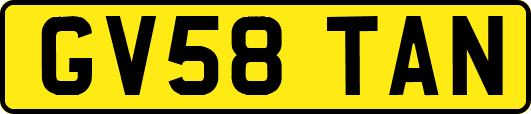 GV58TAN