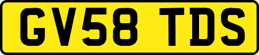 GV58TDS