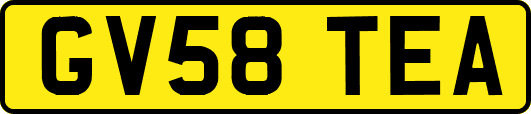 GV58TEA