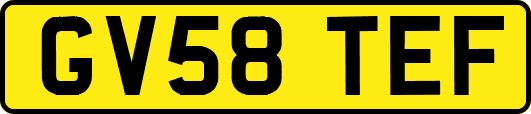 GV58TEF