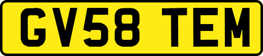 GV58TEM
